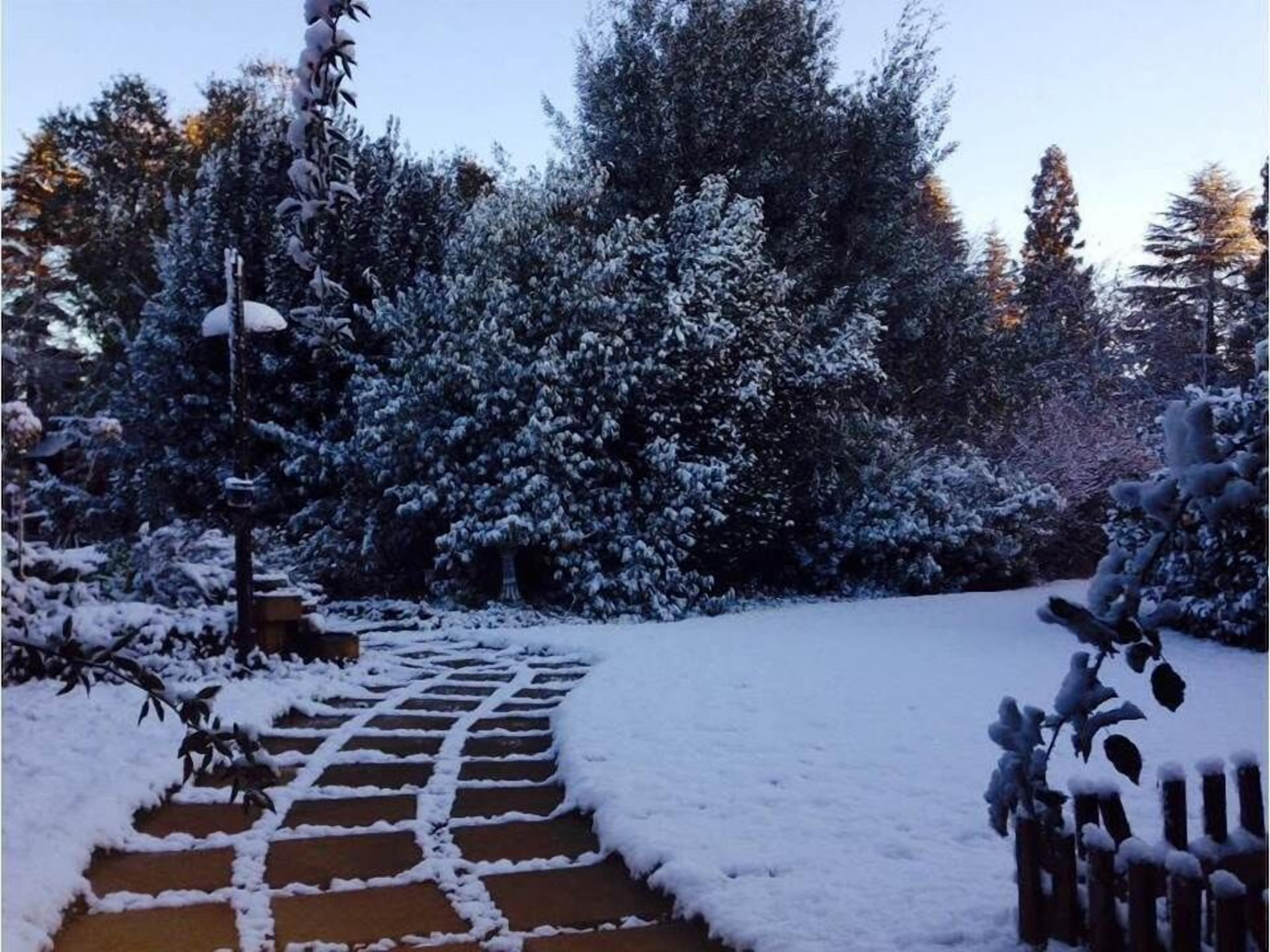 A snow-covered garden with a paved pathway leading through it.