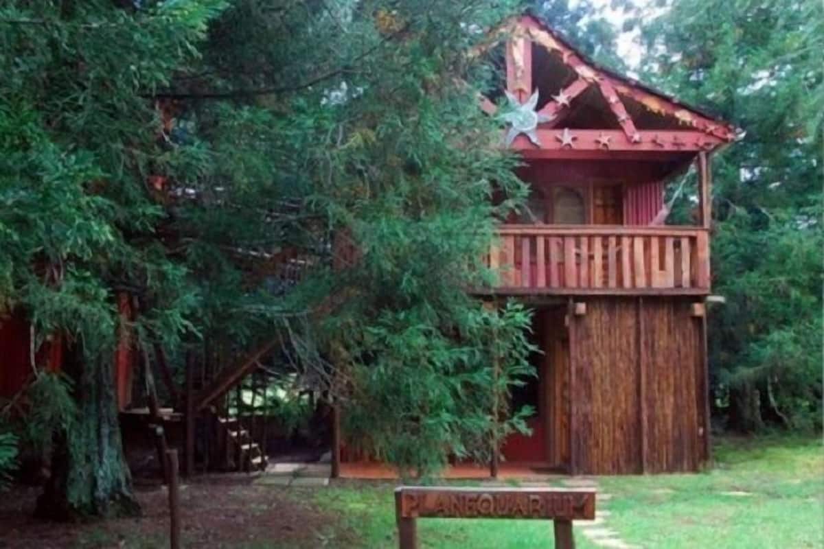 Une cabane en bois perchée dans un arbre, dotée d’un balcon et entourée d’un feuillage dense.