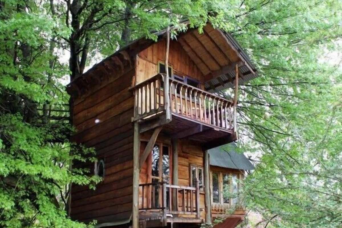 Une cabane en bois perchée dans un arbre, dotée d’un balcon et entourée d’un feuillage dense.