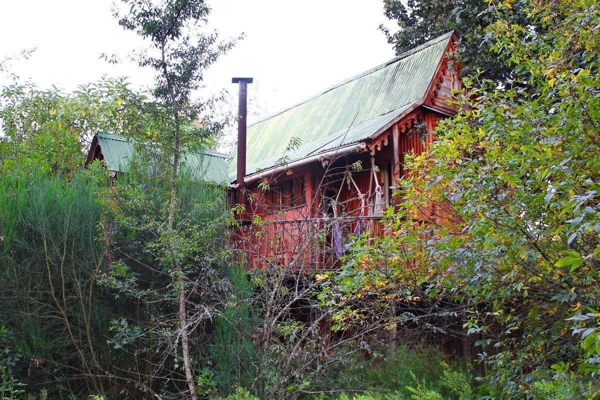 Une cabane en bois rustique, entourée d’une végétation luxuriante.
