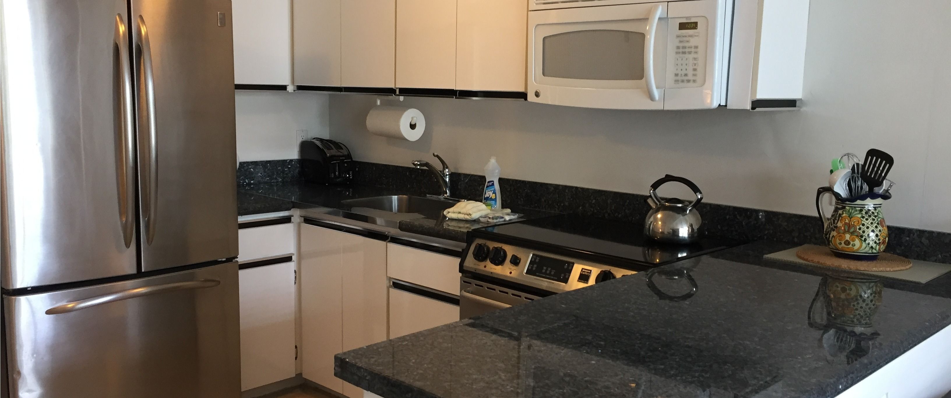 apartment 203 | private kitchen | eco-friendly cleaning products, ice maker, paper towels