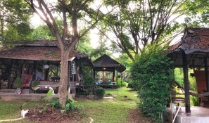Property grounds - Ban Nam Hoo (Pai)