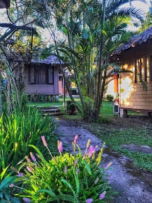 Property grounds - Ban Nam Hoo (Pai)