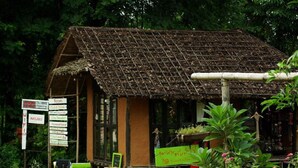 A rustic hut-style building with a thatched roof, surrounded by lush greenery. There are signs indicating room availability and amenities such as food and drink.