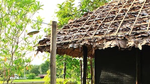 A rustic hut with a thatched roof, surrounded by lush greenery and a stone pathway.