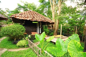 Free WiFi - Khun Nai Tern Sai - Adults Only (Pai)