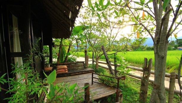 A wooden deck with a bench, surrounded by lush greenery and a view of a rice field.