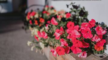 Ein Pflanzgefäß mit verschiedenen Blumen, darunter rote und weiße Blüten, vor einer weißen Wand.