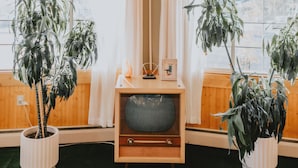 A cozy room with a wooden ceiling, a vintage television on a wooden stand, and two potted plants on either side. - The Sapphire Motel (Bozeman)