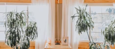 Una habitación acogedora con techo de madera, un televisor antiguo sobre un mueble de madera, y dos plantas en macetas a cada lado.