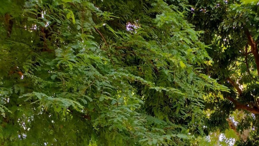 Pilgrim's Kitchen & Inn