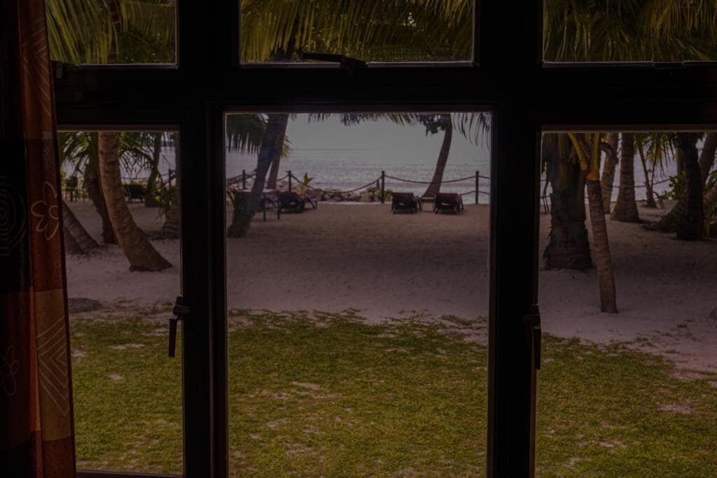 A view through a window with a beach scene, including palm trees and a sandy area.