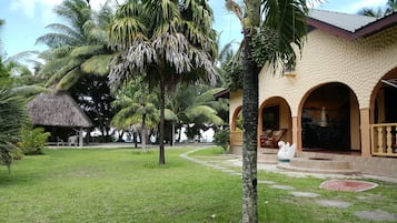Escape to a serene tropical haven with a thatched-roof structure and lush surroundings.