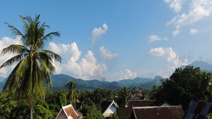 Vista a la montaña