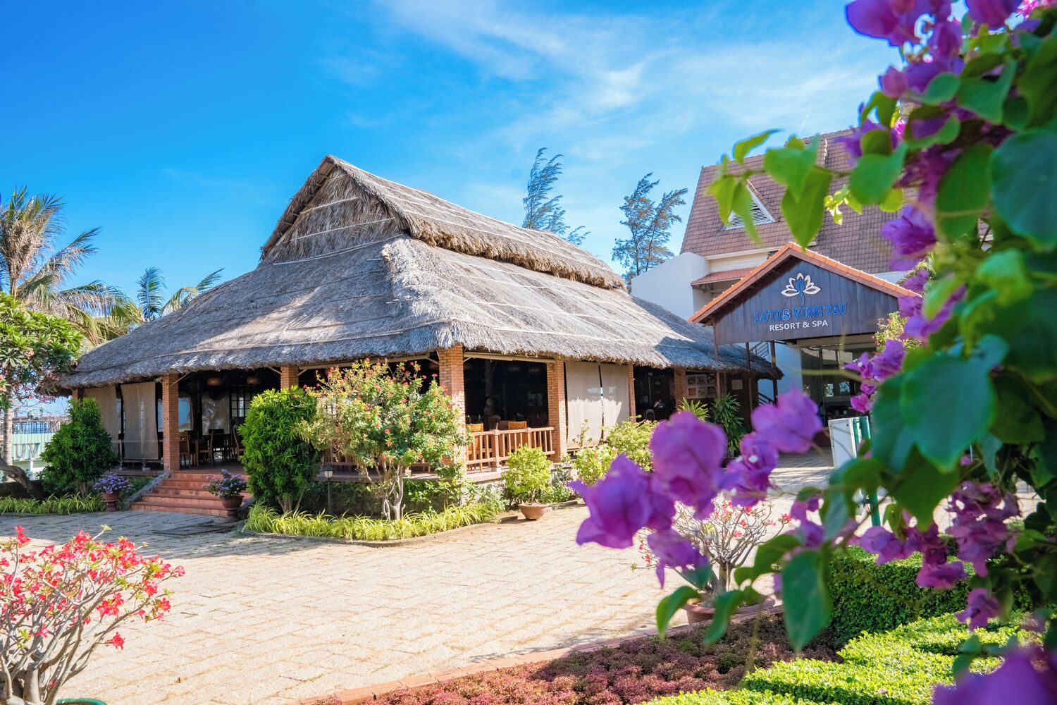Se sirven desayunos, almuerzos y cenas; cocina internacional