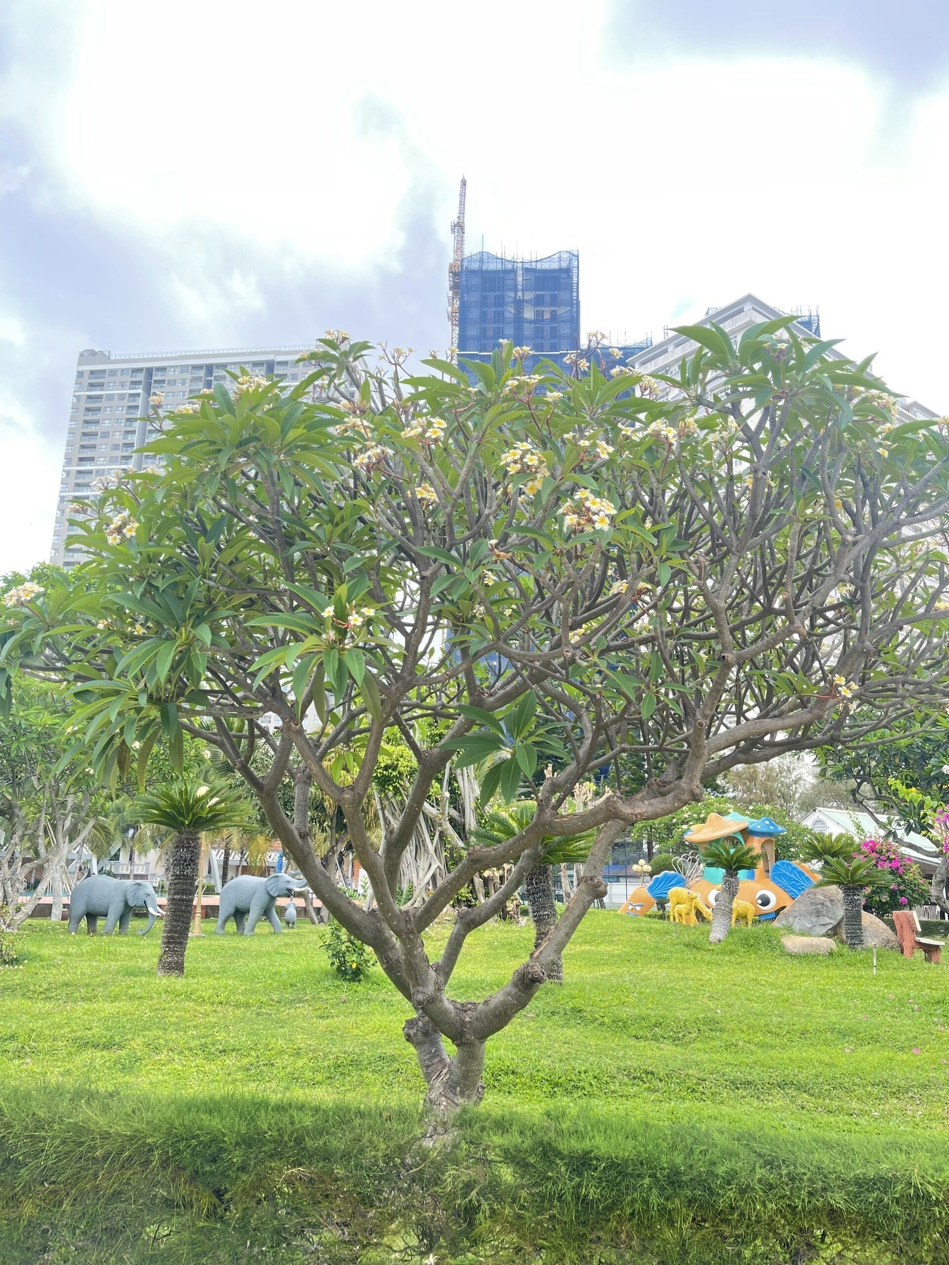 Un árbol con hojas verdes y flores amarillas en un área con césped, un parque infantil y esculturas al fondo.