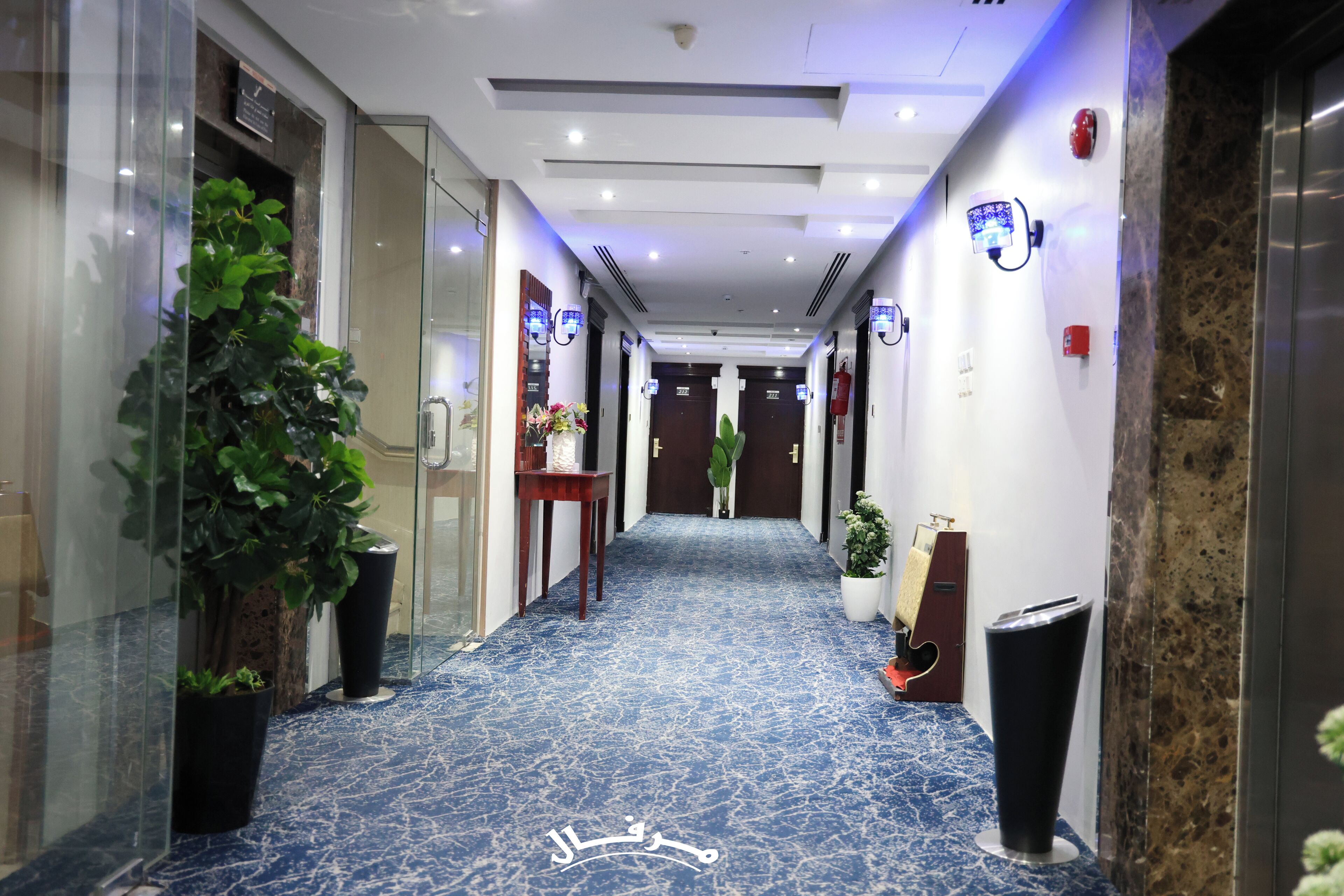A hotel hallway with a blue patterned carpet, potted plants, and a reception desk.