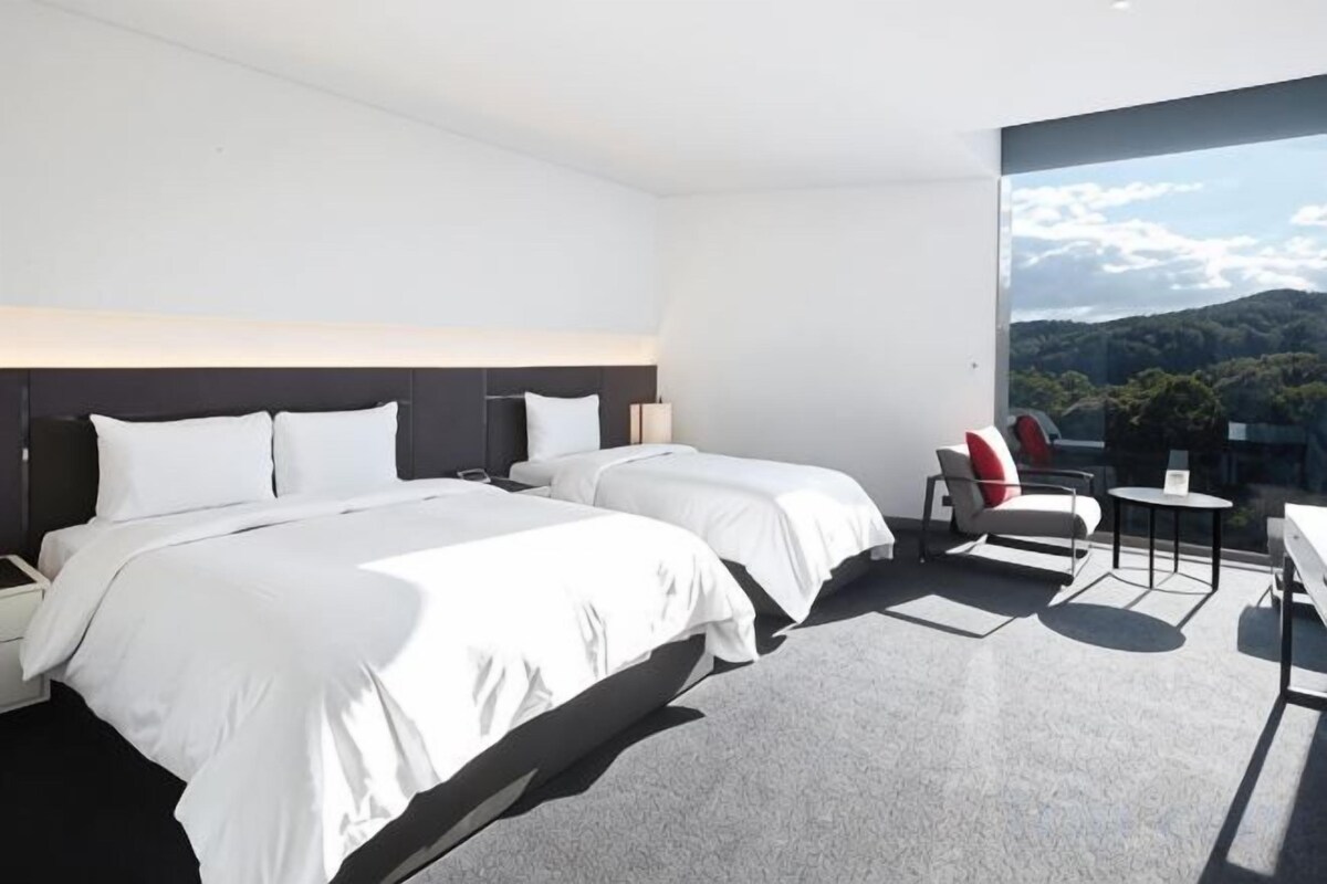 Premium bedding, desk, iron/ironing board (on request), WiFi (free)