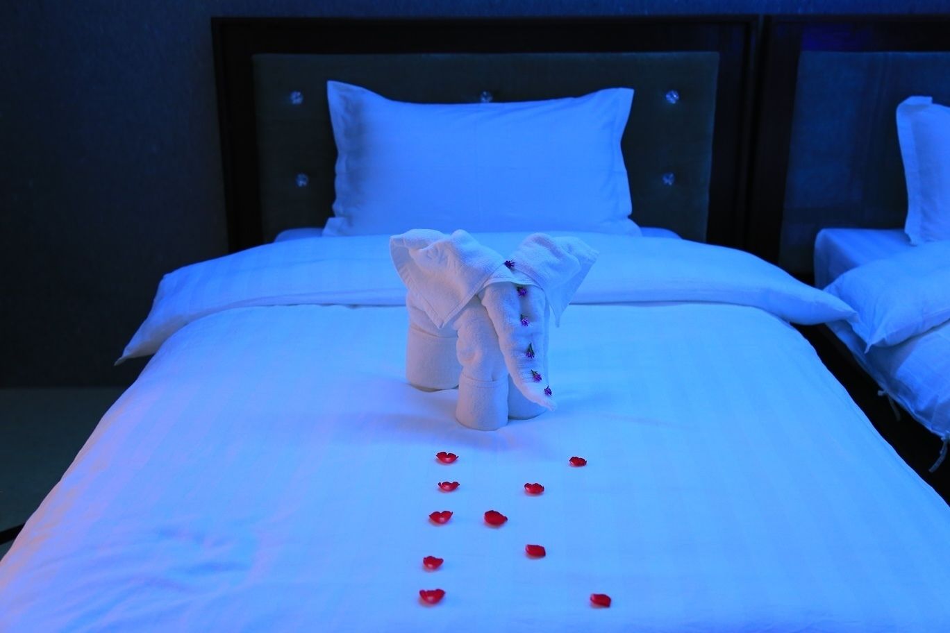 superior room | minibar, in-room safe, desk, blackout curtains