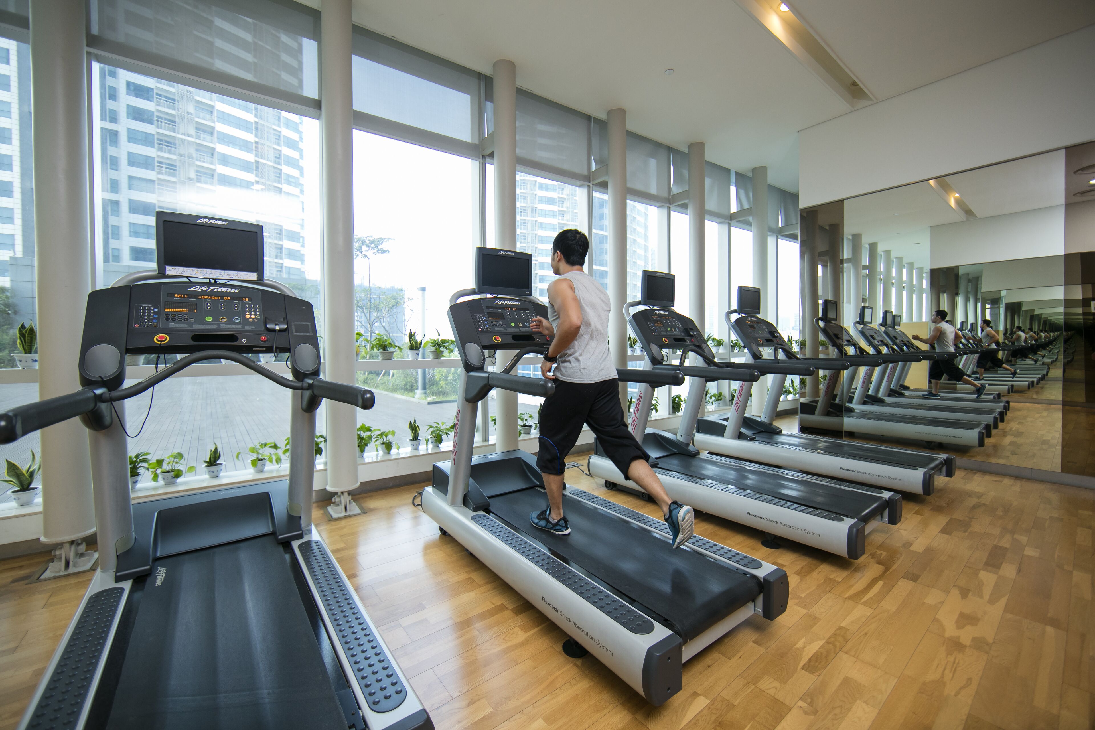 Et fitnesscenter med flere løbebånd stillet op i rækker, store vinduer og indendørs planter.