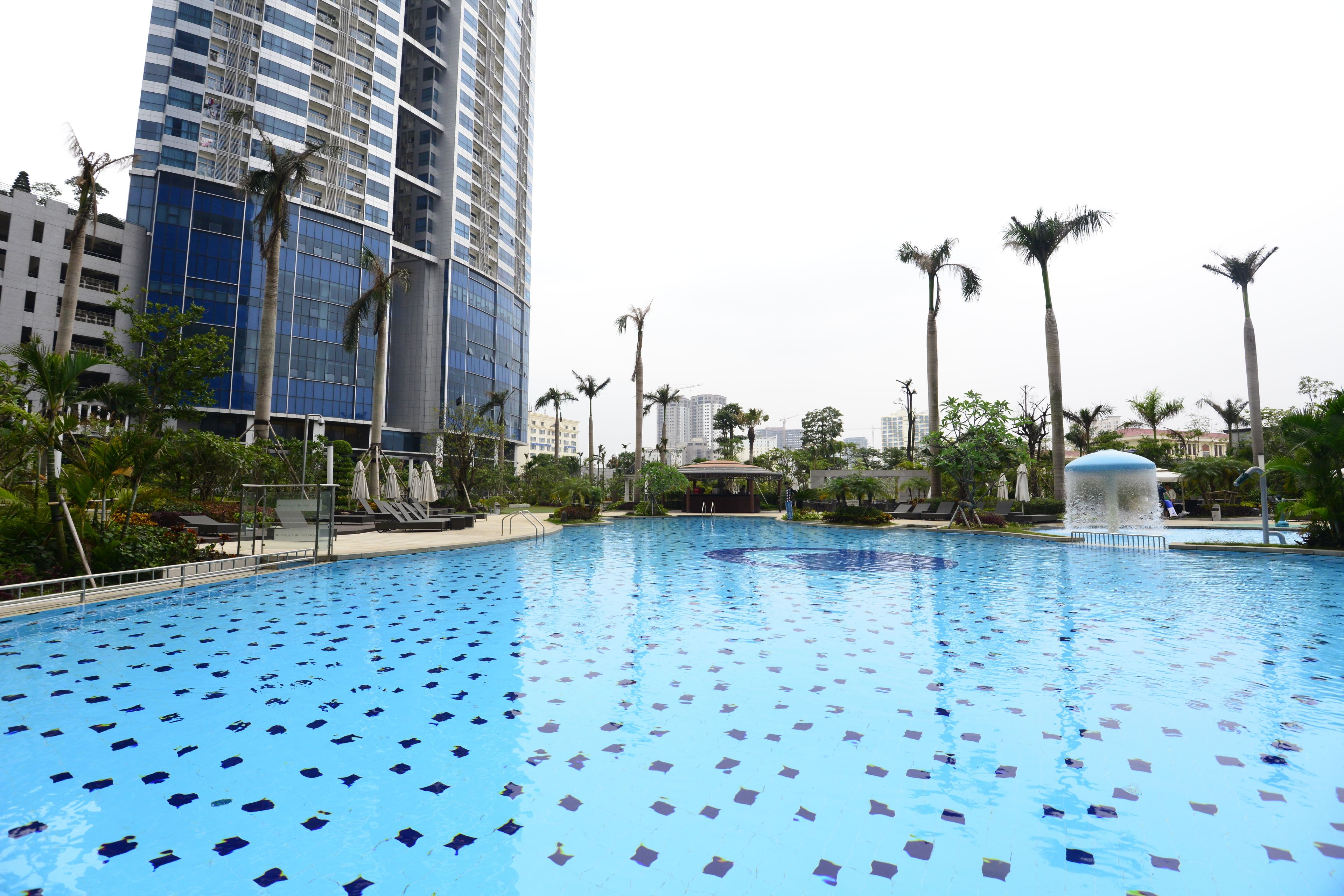 A swimming pool with a tiled pattern, surrounded by palm trees and a high-rise building in the background.