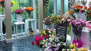 Ein Blumenladen mit verschiedenen Blumentöpfen und Blumen, die auf Tischen und Regalen präsentiert werden.