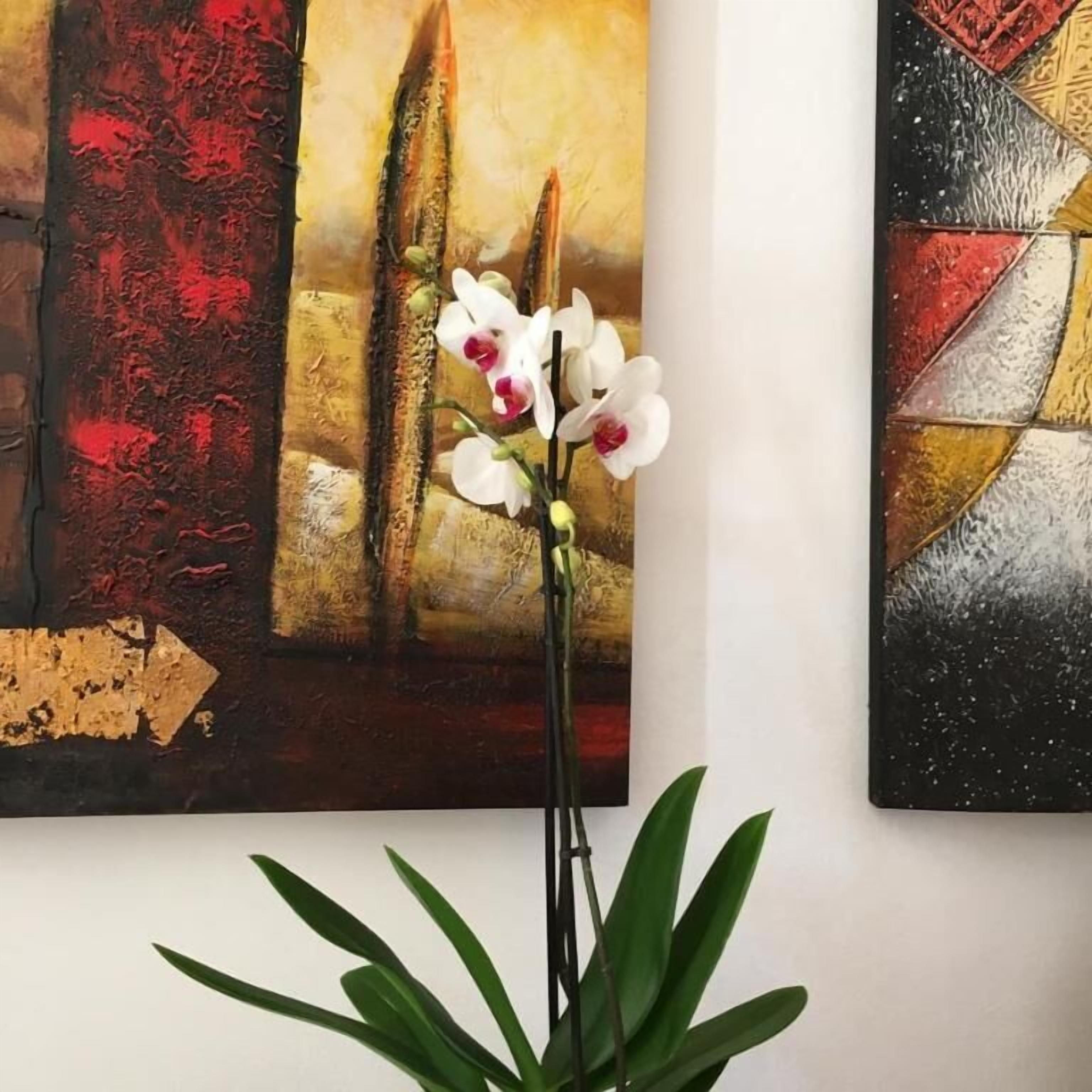Un quadro con forme astratte e un'orchidea in vaso.