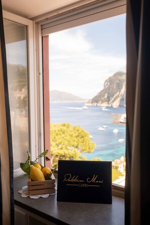 A window with a view of the sea and a black box with 'Patanium Mare' and 'Capri' text. - Hotel Palatium Mari (Capri)