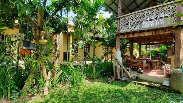 Un espacio al aire libre cubierto con un banco y una mesa de madera, rodeado de abundante vegetación y un edificio amarillo al fondo.
