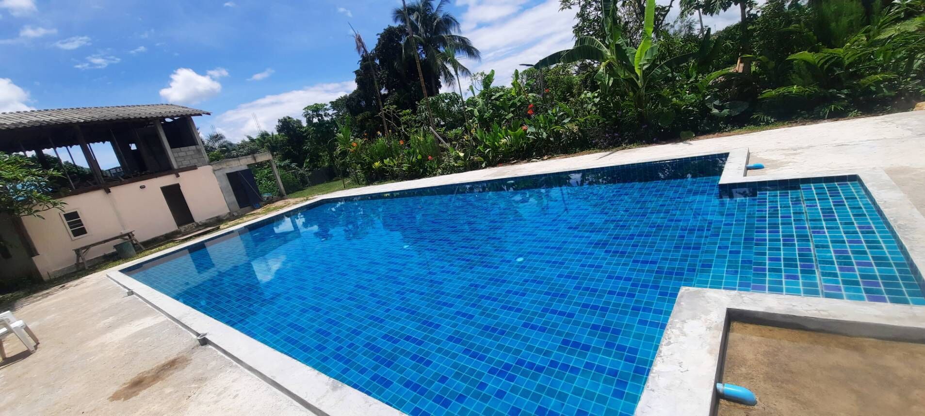 A swimming pool with blue tiles, surrounded by greenery and a building with a tiled roof.