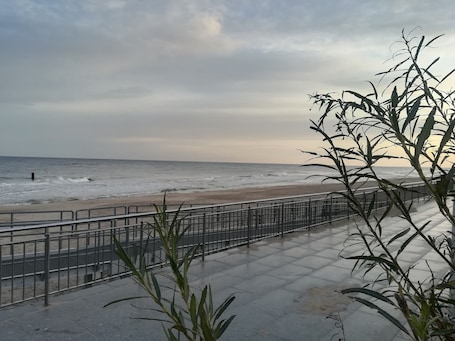 Beach nearby, sun loungers