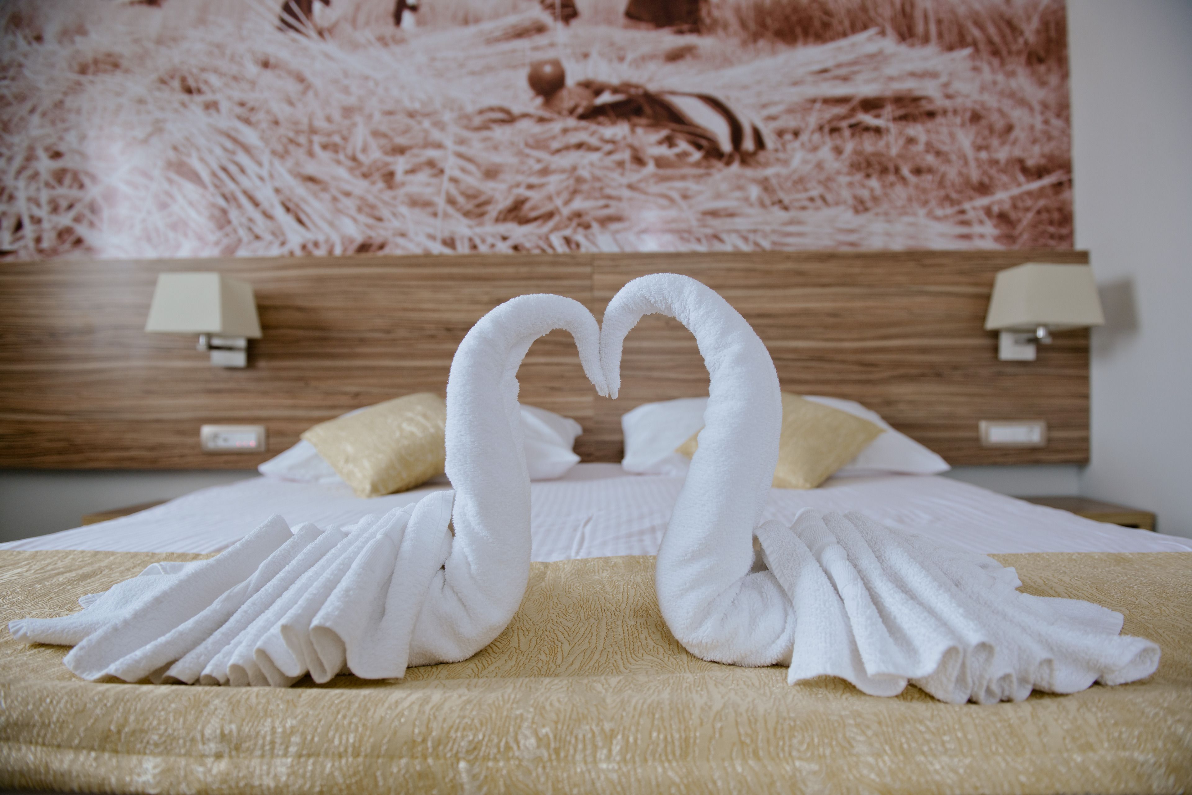 standard double room single use, city view | frette italian sheets, premium bedding, pillow-top beds, desk