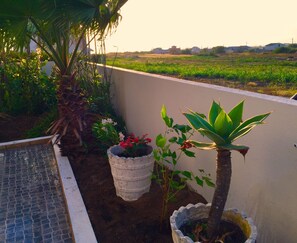 Casa, 3 habitaciones | Terraza o patio