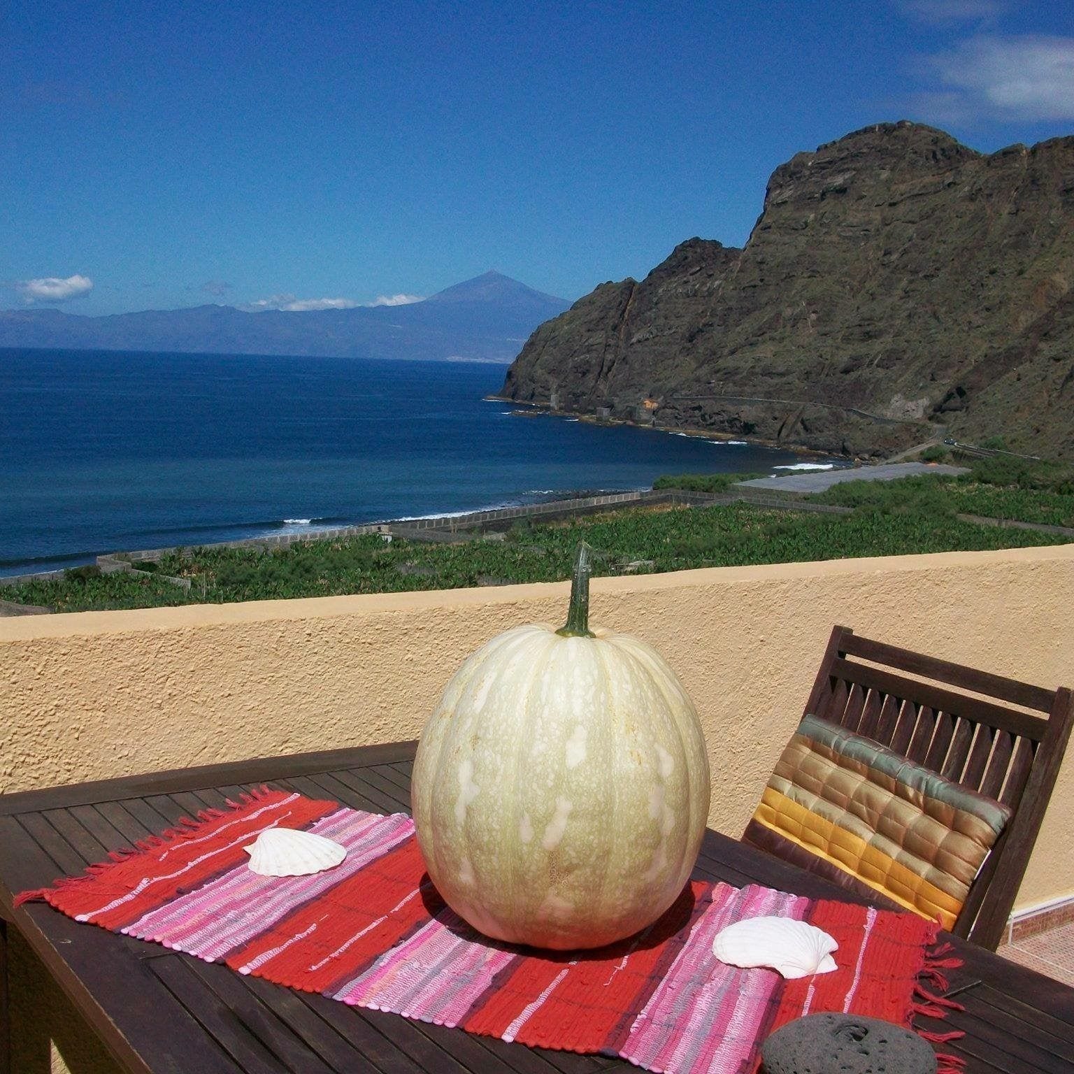 Studio, Balcony, Sea View