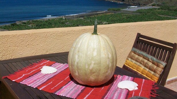 Vista de una playa con una mesa que tiene una calabaza, una silla y un mantel individual.