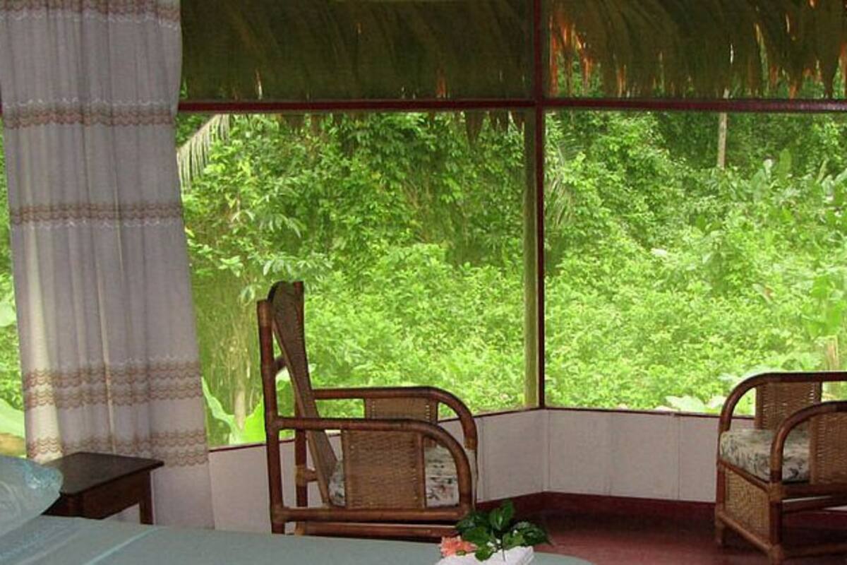 Una habitación con una cama, dos sillas de mimbre y un amplio ventanal con vistas a la vegetación.
