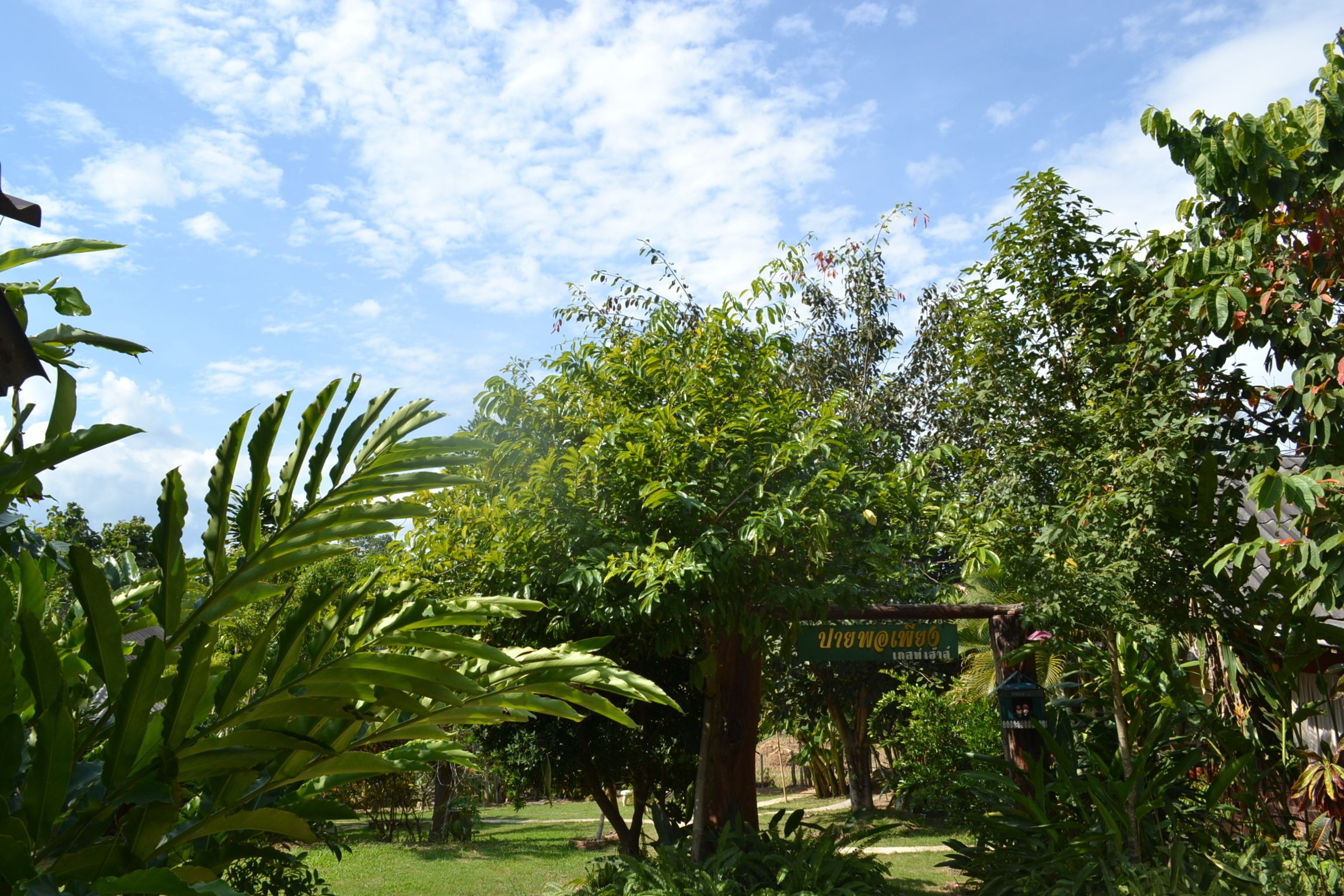 Área da propriedade