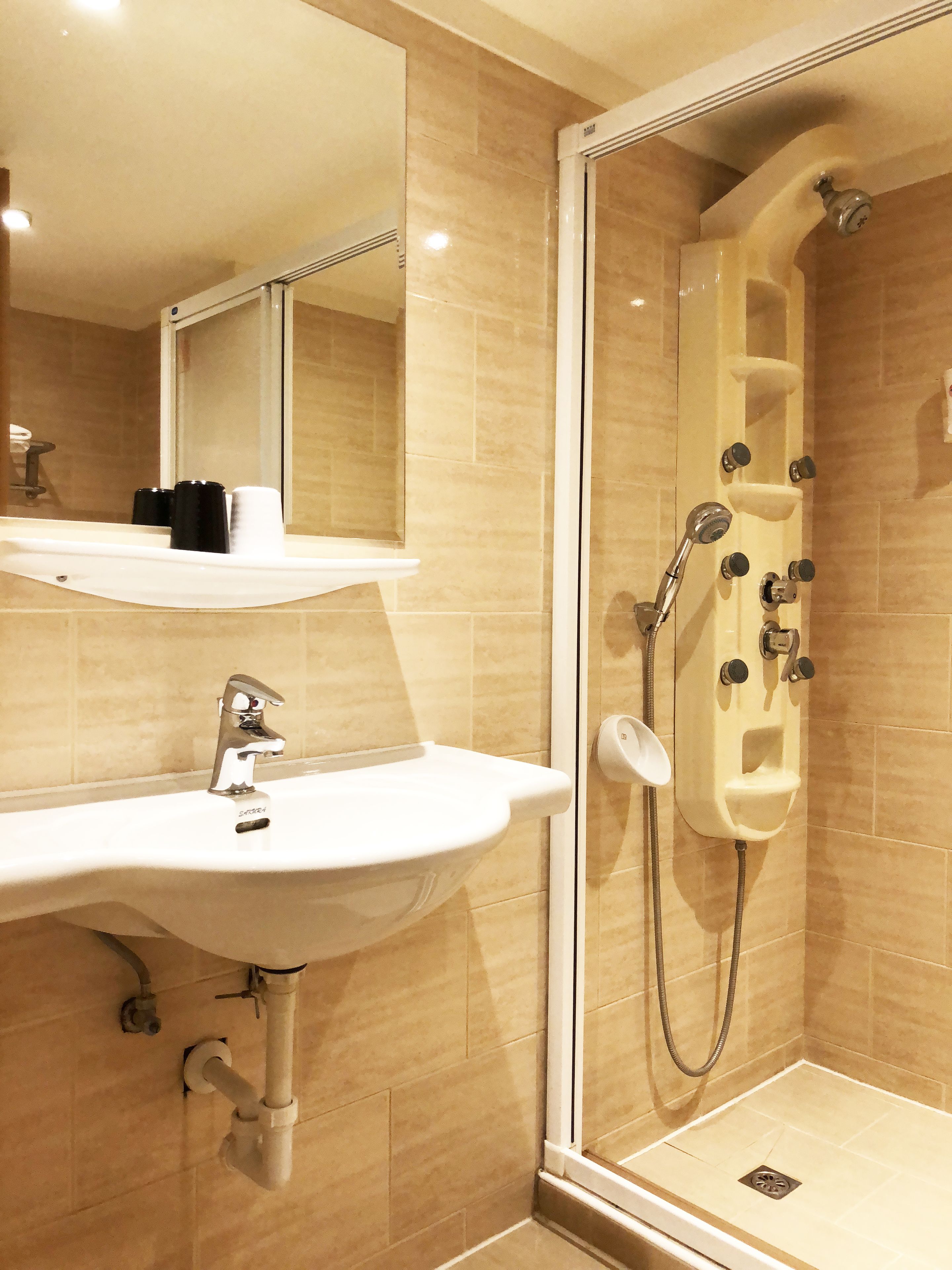 hair dryer, towels, shampoo, toilet paper