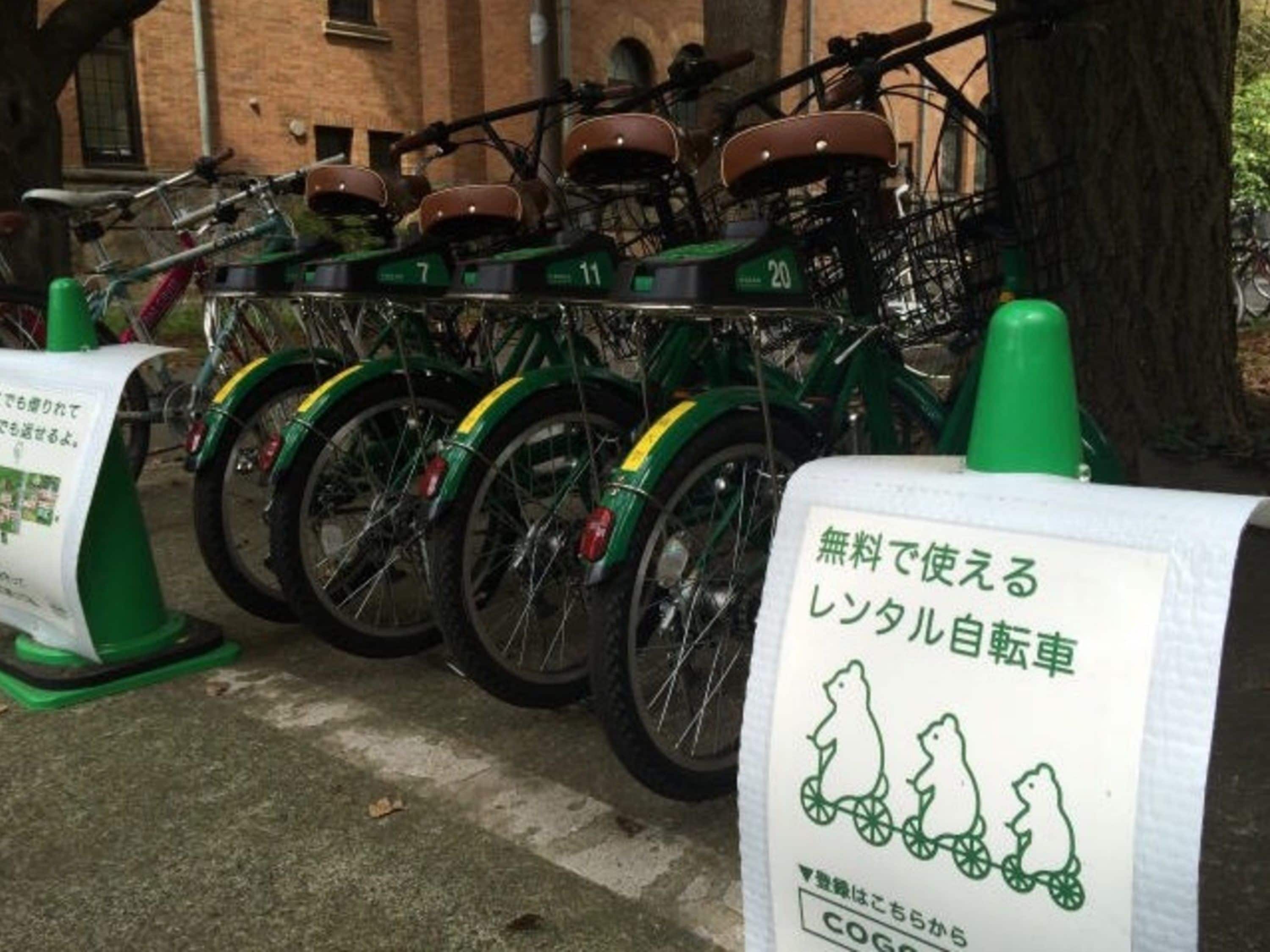 A row of bicycles with green and yellow accents, each with a number tag, parked in front of a building.