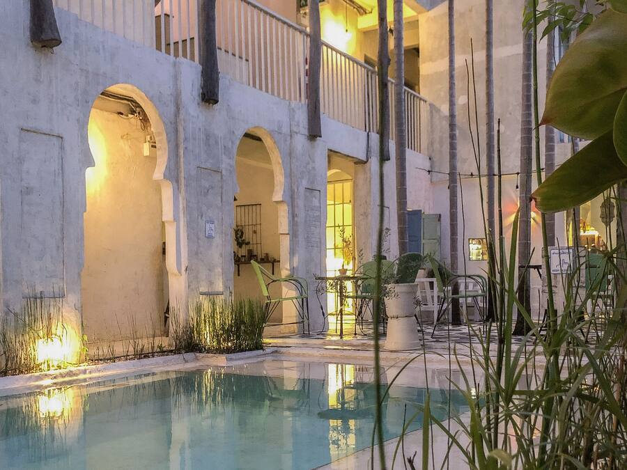 Outdoor pool, sun loungers