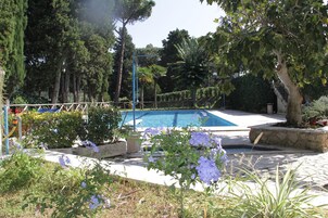Une piscine entourée d’une végétation luxuriante et bordée d’un chemin en pierre.
