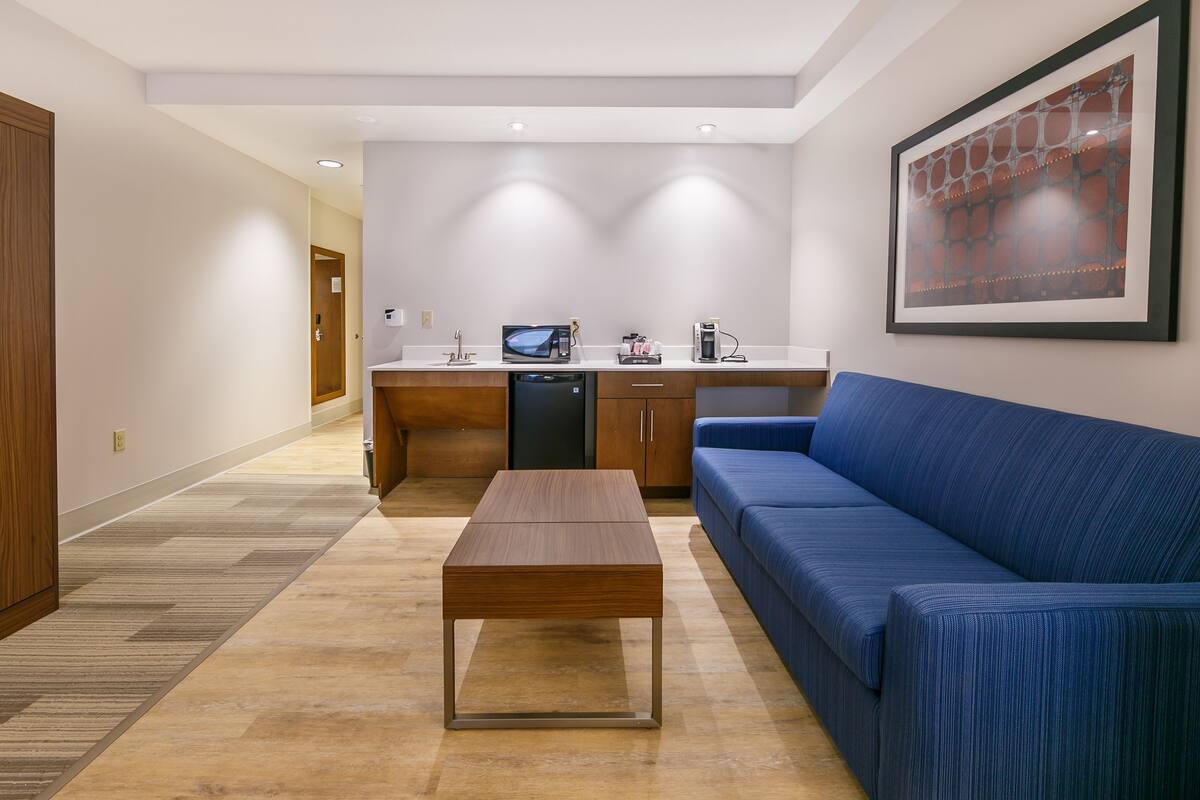 standard room, 1 king bed, accessible (accessible tub) | mini fridge