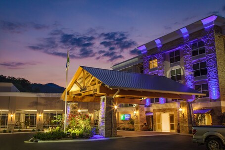 Holiday Inn Express Gatlinburg Downtown, an IHG Hotel - Image 3