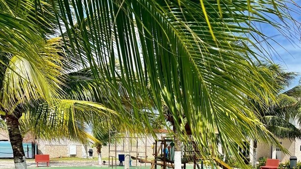 A playground with a slide and swings, surrounded by palm trees and a green surface. - Flats Privé Village Galés (Maragogi - AL) (Maragogi)