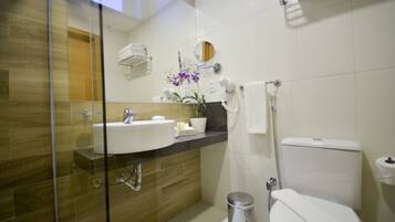 A modern bathroom with a glass shower enclosure, a white sink, a toilet, and a vanity with a mirror.