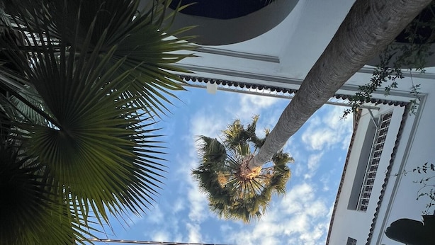 Un patio con un edificio blanco, palmeras y cielo despejado.