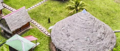 A resort with thatched-roof huts, a swimming pool, and lush greenery.
