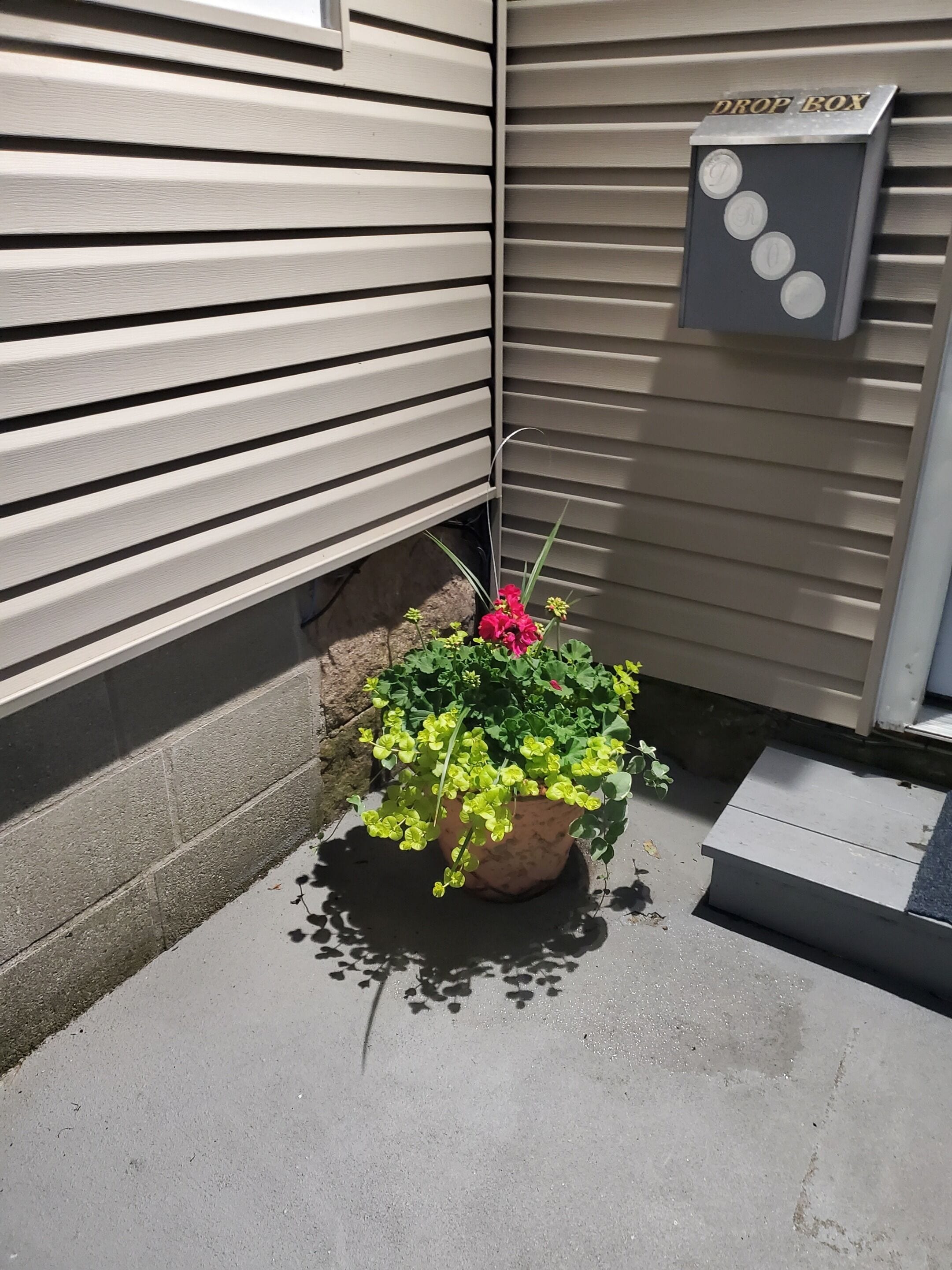 Uma planta em vaso com flores amarelas e rosa ao lado de um edifício com revestimento horizontal e uma caixa de depósito.