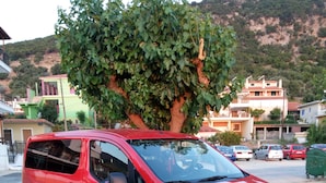 A red car parked on a dirt surface with grass patches, surrounded by buildings and a tree. - Petros Studios (Kefalonia)
