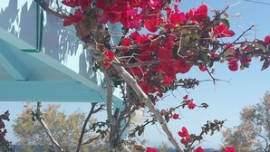 Un balcón con flores de buganvilla rojas, cielo azul despejado y vista al mar.